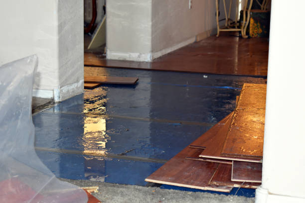 Professional Basement Flood Cleanup technician working in Bradford, PA